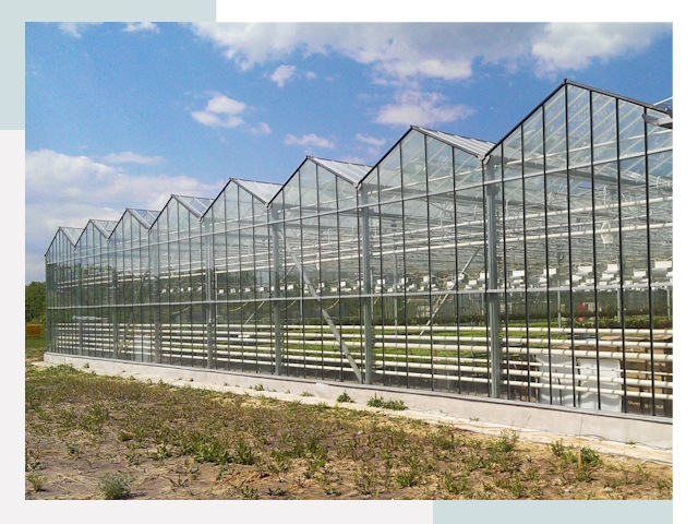 Строительство теплиц в Великий Новгород от 614 руб. за м²