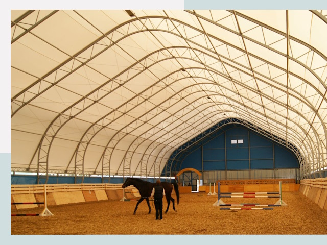 Строительство конных манежей в Великом Новгороде